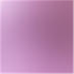 Shiny Lavender
